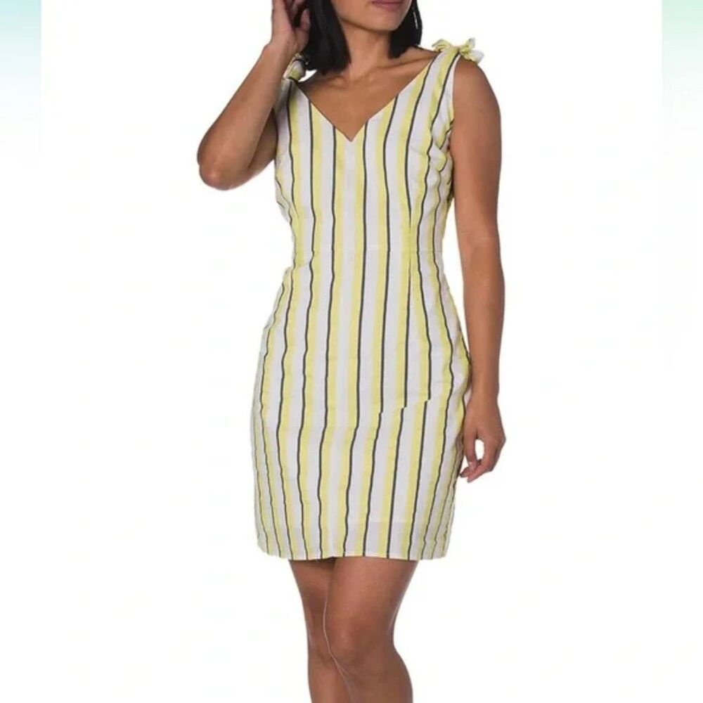 Cupcakes & Cashmere Marguerite Striped Sleeveless Mini Dress Women's Size 4